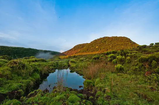 Mestrado em Educação para Gestão e Conservação da Natureza